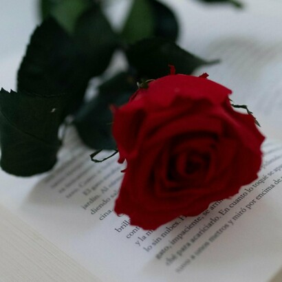 L'amour vu par les prix Goncourt