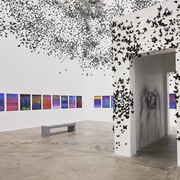Carlos Amorales. Courtesy of MUAC