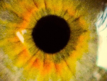 Há grades nos olhos de quem devia fazer Direito