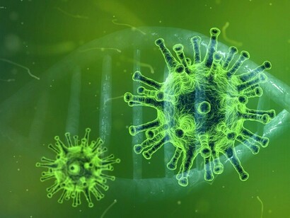 Without political support of public health, all can be lost