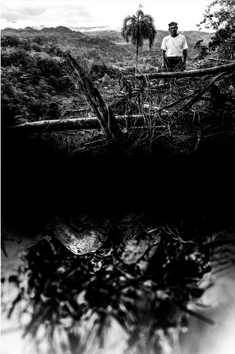 Cosmogonia Shuar #51N,  Ecuador 2016