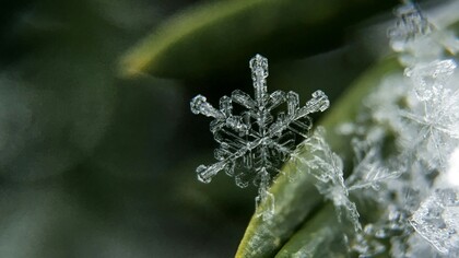 Un iperciclo è un sistema composto da più cicli autocatalitici che si sostengono reciprocamente in una rete chiusa di interazioni