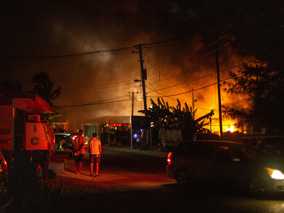Forests on fire