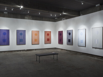 Installation view, Sam Falls, Galleria Franco Noero - in residence, 2015, Photo Sebastiano Pellion di Persano 