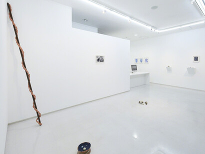 Satoshi Hirose, Exhibition view. Courtesy of Tomio Koyama Gallery