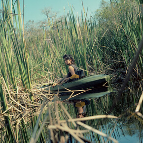 Gesi Schilling, River of Grass, Turner River, Big Cypress National Preserve, FL