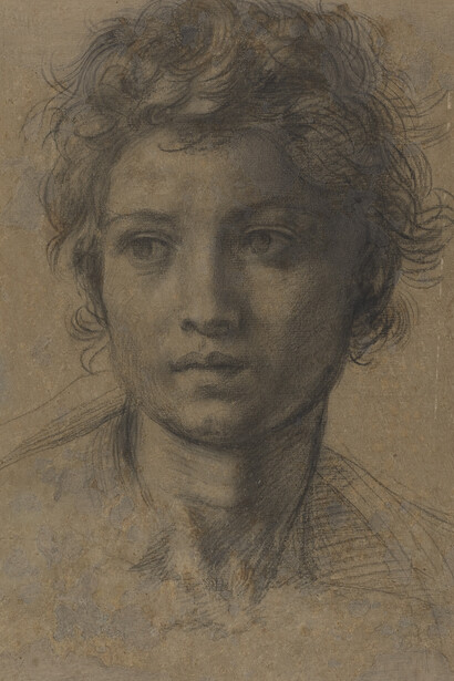 Andrea del Sarto (1486–1530) Study for the Head of Saint John the Baptist (detail), ca. 1523 Black chalk 13 x 9 1/8 inches National Gallery of Art Courtesy of the National Gallery of Art, Washington, D.C., Woodner Collection, 1991.182.14