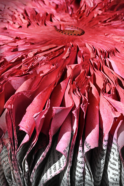 Cara Barer, Rose history (detail), 2026. Courtesy of Catherine Couturier Gallery