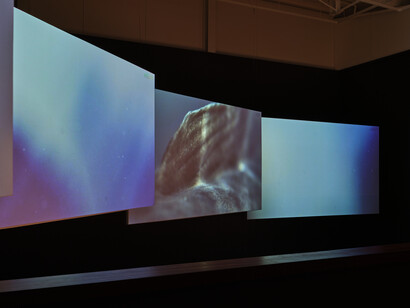 Various artists, Whiria ko te iwi tuna, exhibition view. Courtesy of Govett-Brewster Gallery