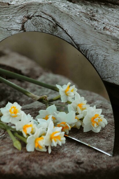 Reflejo de flores en un espejo. Lo fantástico revela la complejidad de nuestra existencia