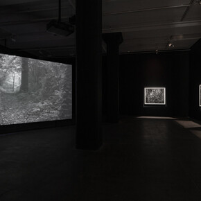 Dawoud Bey, Stony the road, exhibition view. Courtesy of Sean Kelly