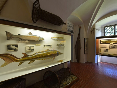 Fishing and Fisheries. Courtesy of National Museum of Agriculture