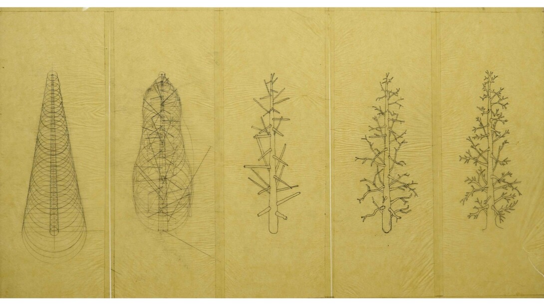 Allan Wexler, Axonometric Tree 30" x 20" pencil on yellow trace, about 1979