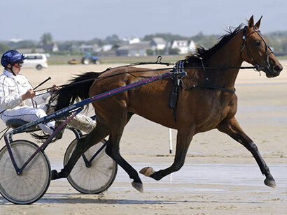 Course hippique. Le sport hippique arrive à la fin du XIXème siècle