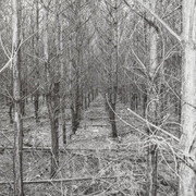 New acquisitions in the art collection of Galeria Bielska BWA. Courtesy of Galeria Bielska BWA