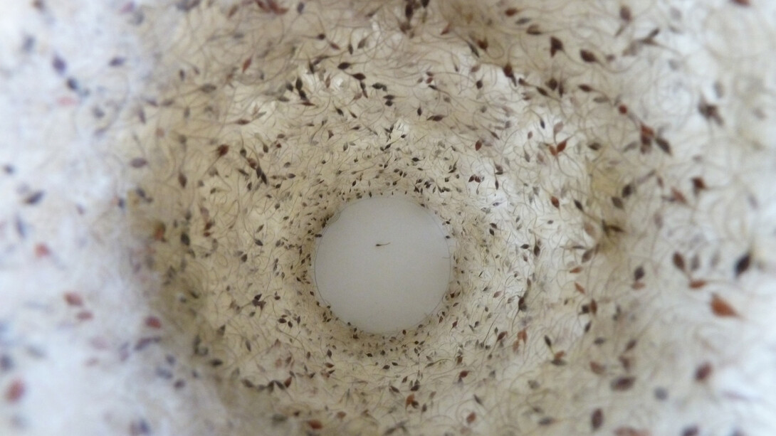 Valerie Inns, Untitled, Valerie Inns, 2014