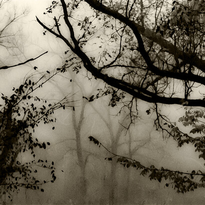 Sara Silks. Courtesy of Panopticon Gallery