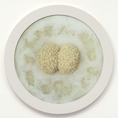 Helen Chadwick, Wreath to Pleasure No 4, 1992-1993, Cibachrome print on aluminium faced MDF in a glazed powder, coated steel frame, 110 (diameter) x 5 cm, Copyright The Estate of Helen Chadwick, Courtesy Richard Saltoun Gallery