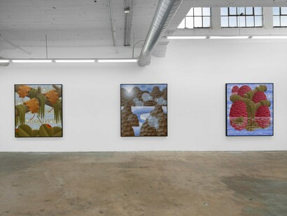 Laurens Legiers, Squinting to see more clearly, exhibition view. Courtesy of Nicodim Gallery