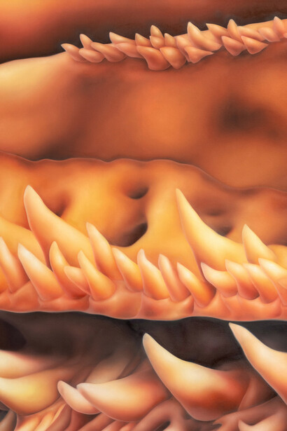 Alejandra Moros, Boundary responsability, 2024. Courtesy of Spinello Projects 