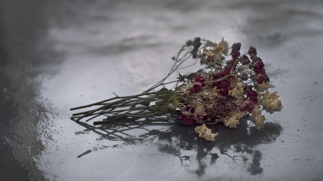 Castro Prieto, Rosas secas, Bodas de sangre, Pigmented inks on 100% cotton paper, 22 x 27.6"