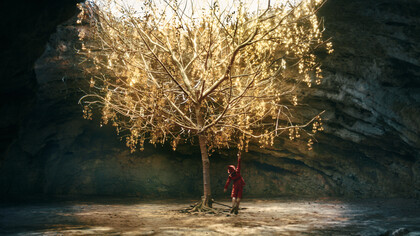 Le avventure di Pinocchio sono un viaggio iniziatico dalle tenebre alla luce