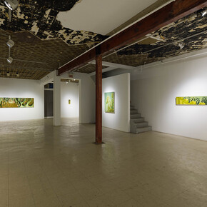 Judith Berry, Portrait, exhibition view. Courtesy of Art Mûr