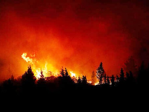 Las llamas han consumido vastas áreas de bosque nativo, afectando ecosistemas, viviendas y medios de vida en varias provincias