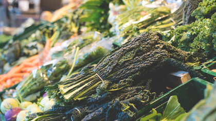 Diversidade de folhas em feira aberta