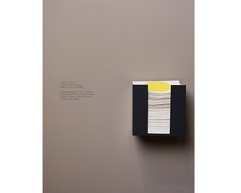 Charlotte Prodger. Courtesy of SculptureCenter