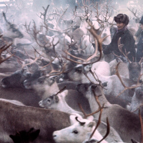 Northern Ways. Courtesy of Arktikum