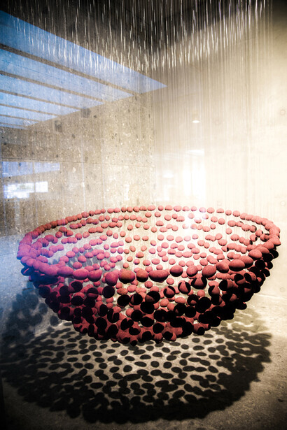 Giorgio Bevignani. Giorgio Bevignani. Jordan's Red Water, 2009