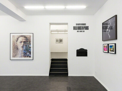 Tom Hoops. Courtesy of Magic Beans Gallery 