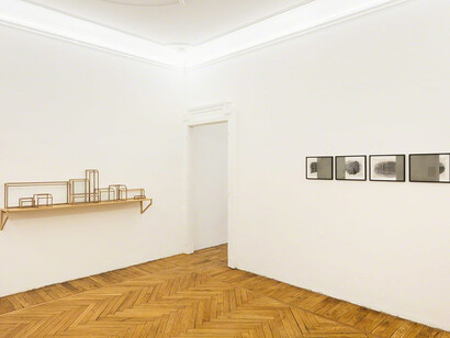 Extractions. Courtesy of Federica Schiavo Gallery