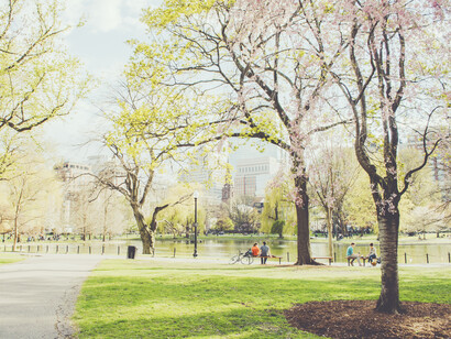 En el inicio de la narcolepsia, es común que se empiece durmiendo siestas «porque se siente sueño», hasta que llega un punto en que se utiliza inconscientemente esta «táctica» para evadirse