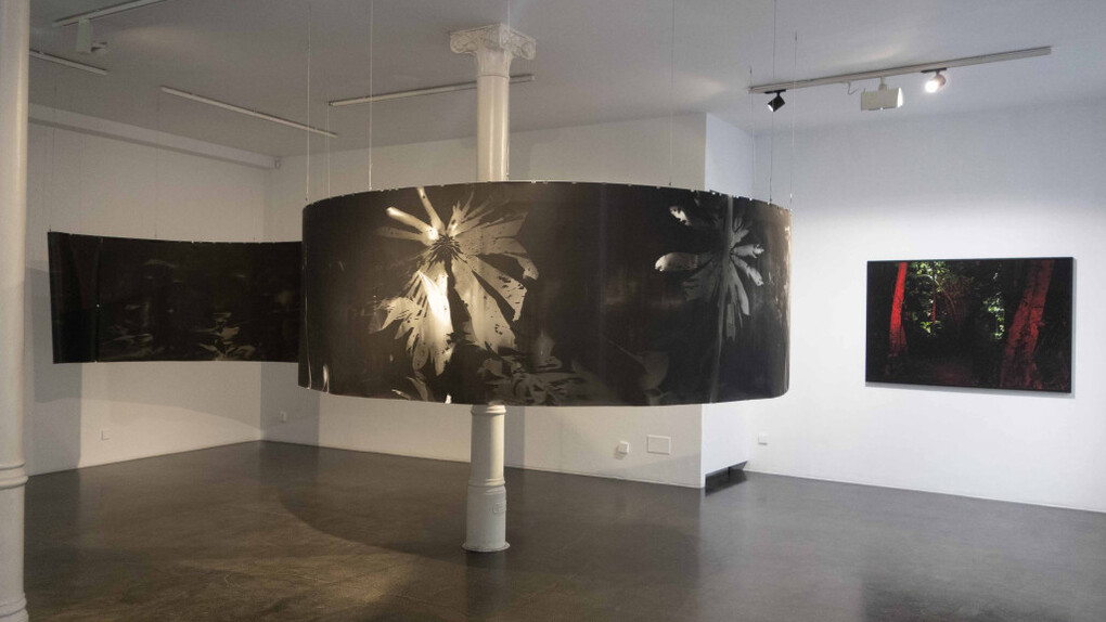 Roberto Huarcaya, Ver por contacto, vista de exhibición. Cortesía de la Galería Ponce+Robles