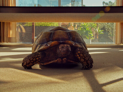 Ben Thorp Brown. Courtesy of Jeu de Paume
