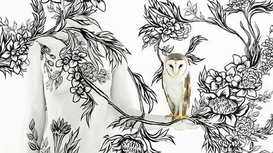 Emma Hack, Owl on Bouquet, C-Print, 2013, © Emma Hack, courtesy Rebecca Hossack Gallery