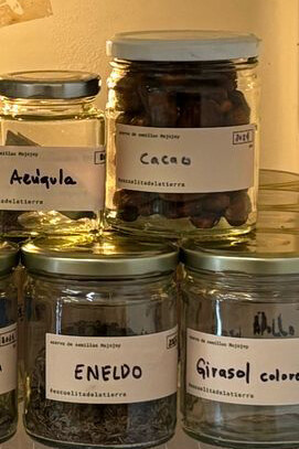 Archivo de semillas en refrigeración, parte de la exhibición "Tierra Maestra" de Mariela Richmond