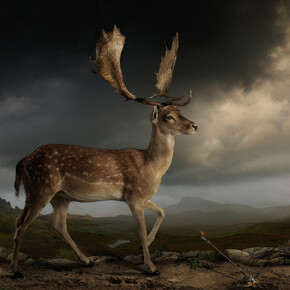 Joseph McGlennon, Skyestag 2