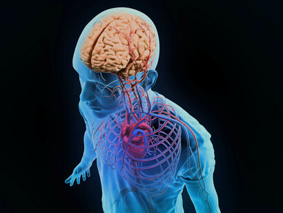 Gli aspetti predittivi possono essere utilizzati da terzi quali assicurazioni, datori di lavoro e operatori economici per il neuromarketing