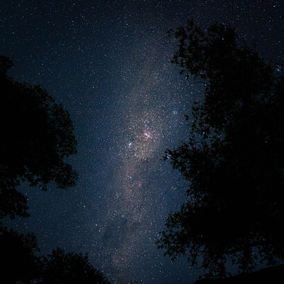 Estrella tras los árboles. Bruno consideraba que el sistema solar era más grande de lo que se pensaba proponiendo la idea de que más allá de los planetas que se conocía