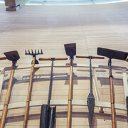 The Century of Forest Improvements. Courtesy of Lusto