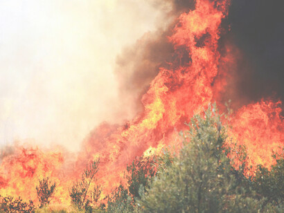 Intense forest fire in Australia — a wildfire driven by drought and climate change