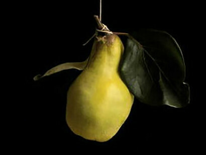 Quince