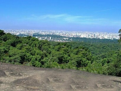 Vista do Parque da Serra da Cantareira, em São Paulo. Quando chegamos a São Paulo parece que nos tornamos órfãos da beleza e tranquilidade que o prisma infinito do horizonte nos traz, órfãos do limite, do desafio e da segurança. Absortos num mar de avenidas, ruas e ruelas, nos tornamos mais um operário da Grande Sampa. Sem a companhia grandiosa, perene e reconfortante do horizonte nos sentimos quase que perdidos. Talvez busquemos mentalmente pelo horizonte na esperança de mantermos a fé no que ele nos gera de significados. Quiçá seja apenas saudades do litoral! 
