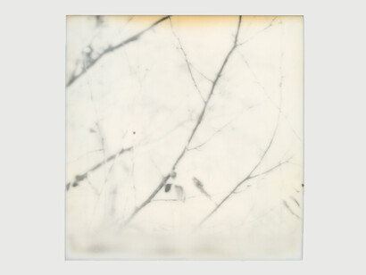 No tenía asunto especificado, pero traía adjuntos varios archivos de imagen