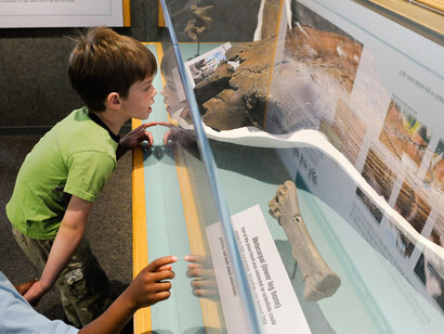 Prehistoric Journey. Courtesy of Denver Museum of Nature & Science