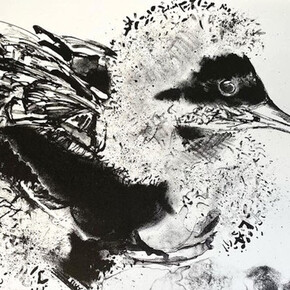 Works on paper, artwork in exhibition. Courtesy of Salamanca Arts Centre