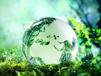 Our economy can become much larger by valuing ecology through Sustainability Credits investments